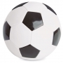 BALÓN DE REGLAMENTO 