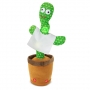 CACTUS BAILARIN 