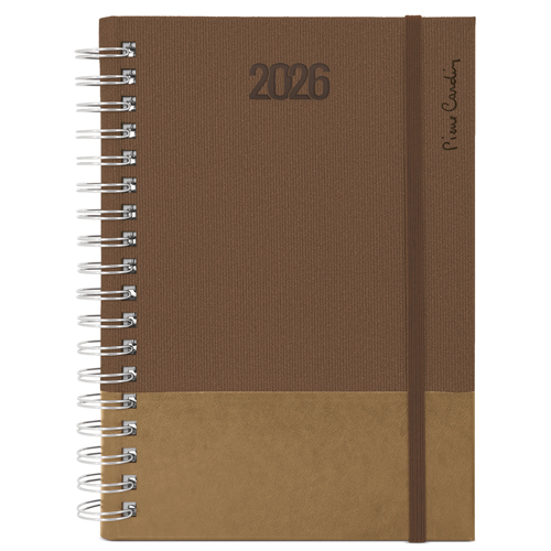 <p>AGENDA ANILLA P.CARDIN 