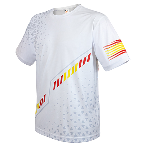 CAMISETA BANDERA 